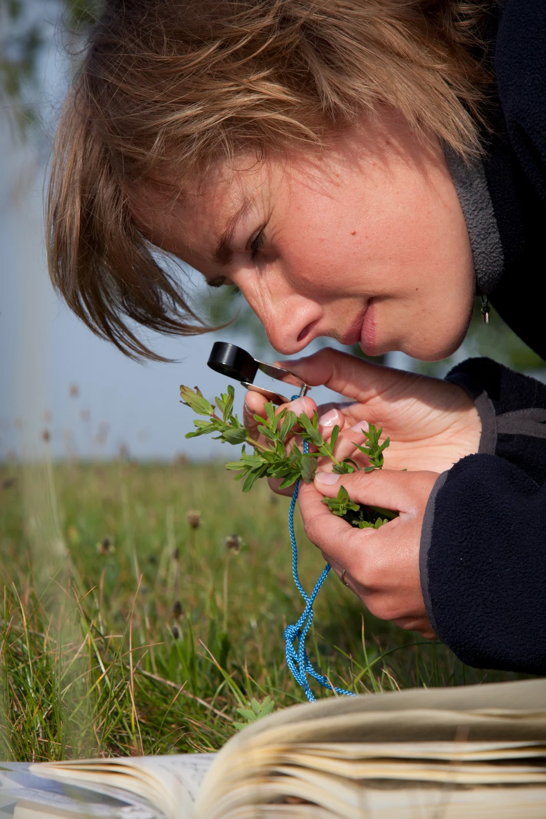 Web Design & Digital Marketing for Ecologists