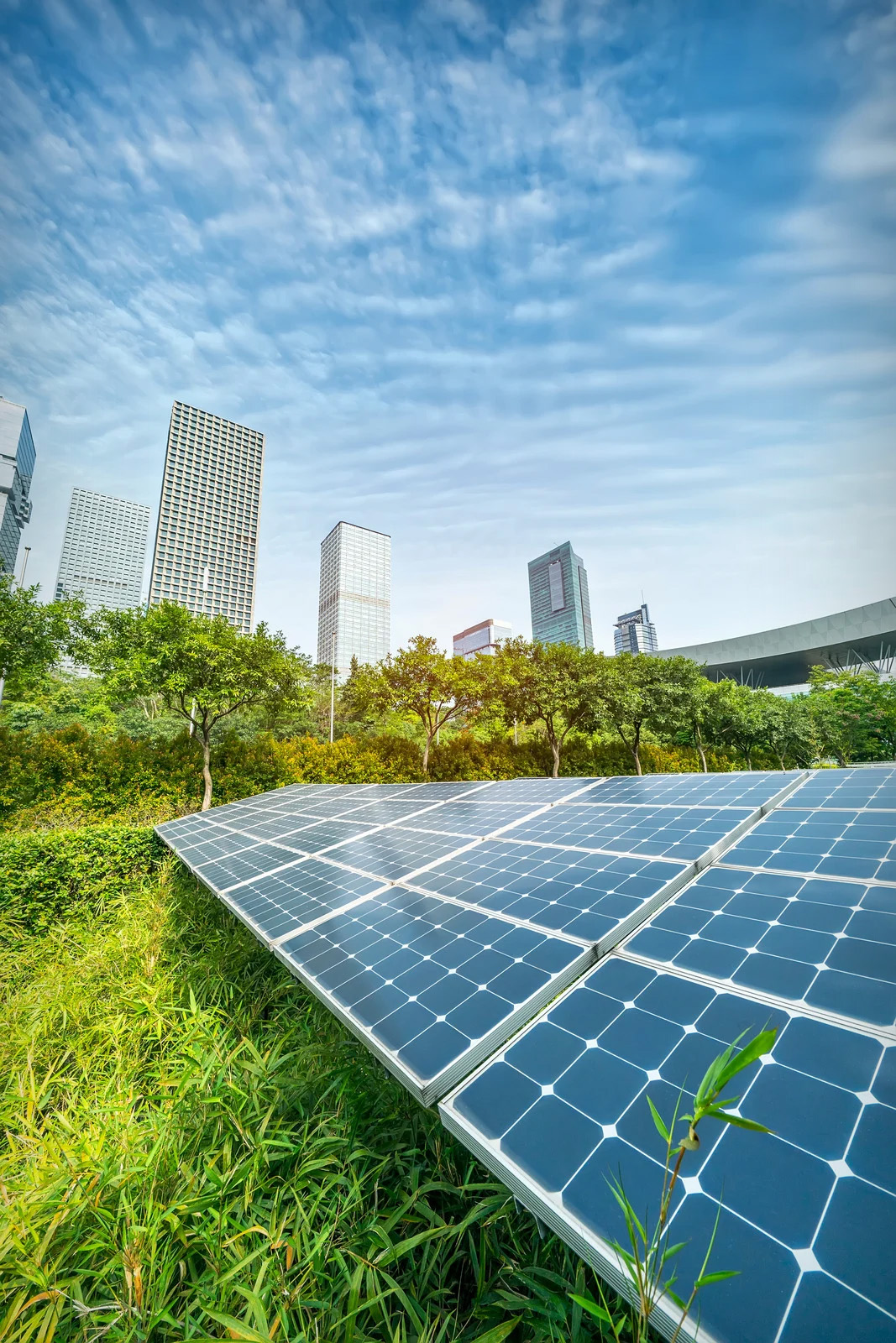 Web Design & Digital Marketing for Sustainable Brands