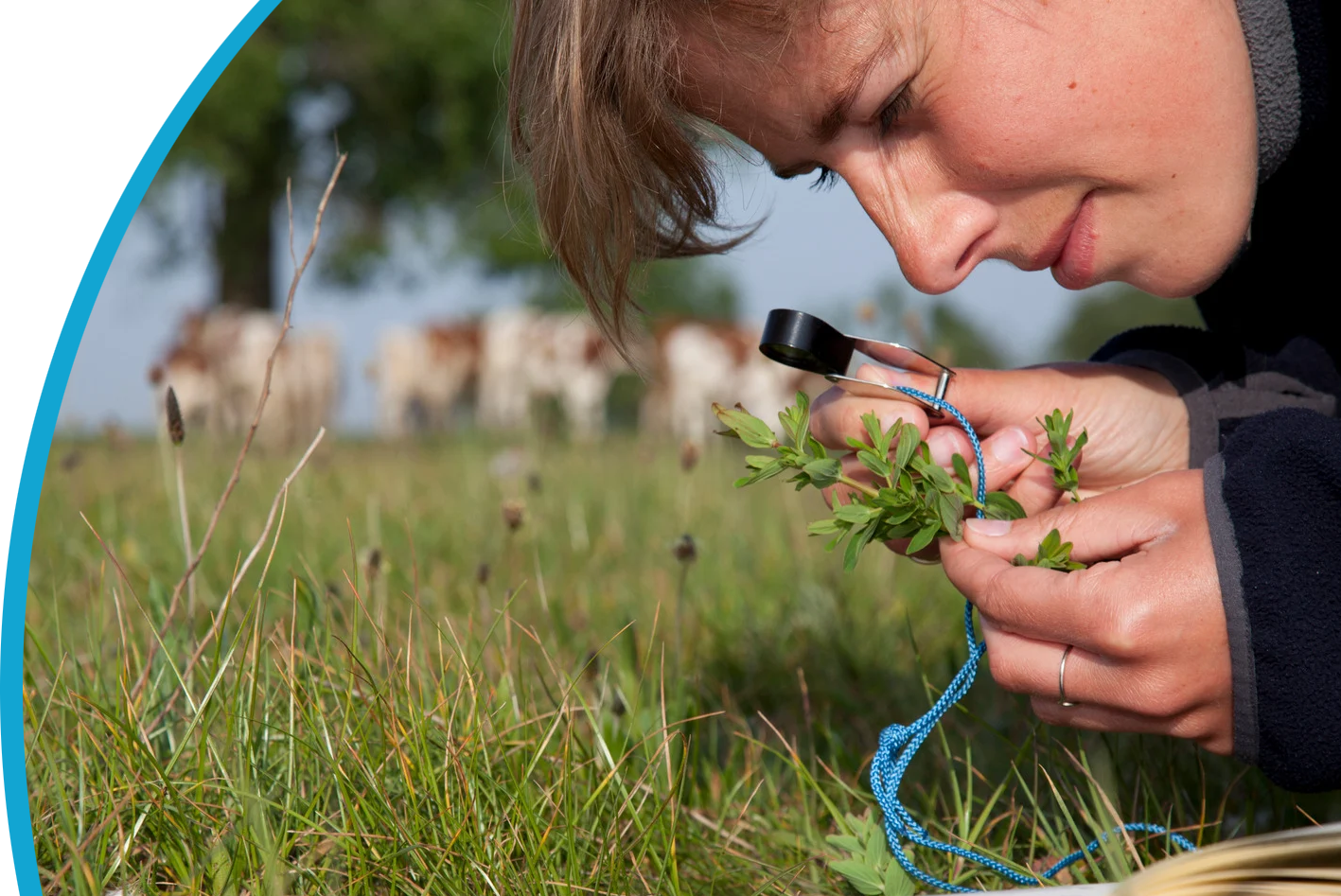 Ecologists and Ecology Consultancies